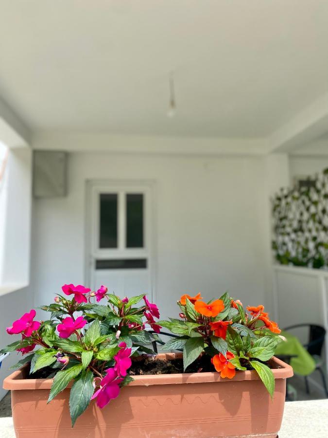 Apartmani Dragana Herceg Novi Exterior foto
