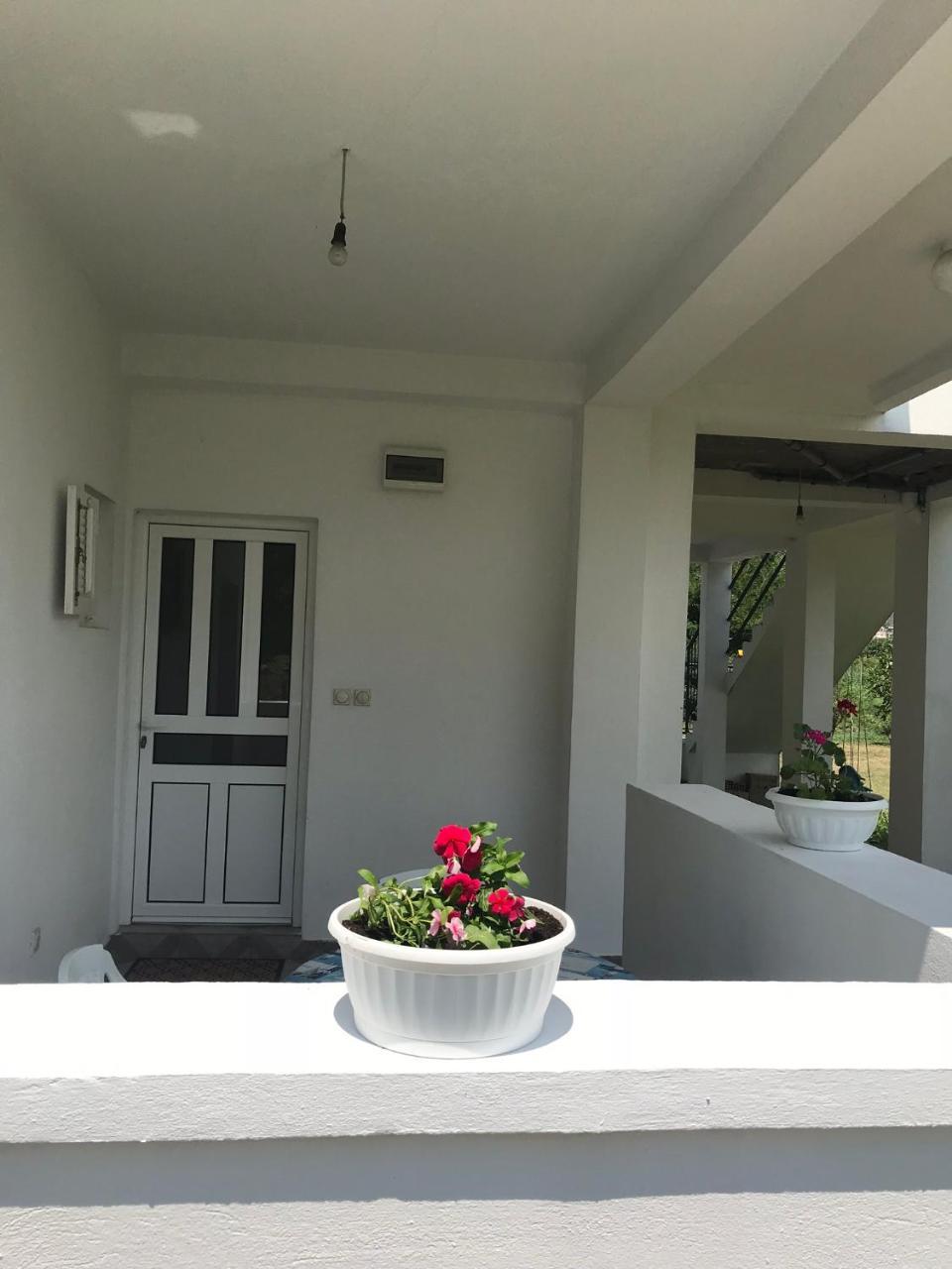 Apartmani Dragana Herceg Novi Exterior foto
