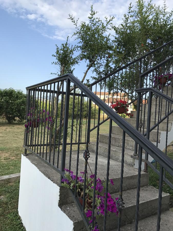 Apartmani Dragana Herceg Novi Exterior foto